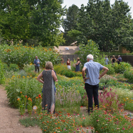 A group of people examines plants in a garden