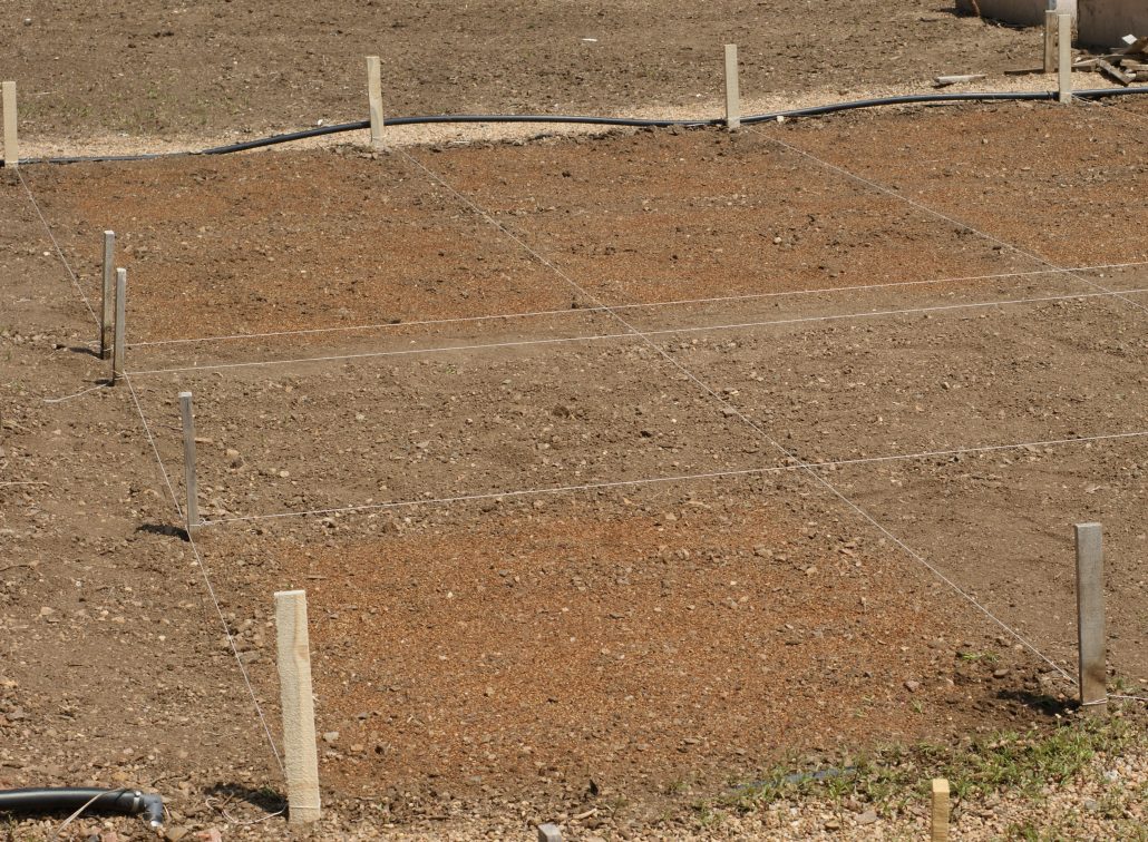 Cleared Bed for Wildflower Garden