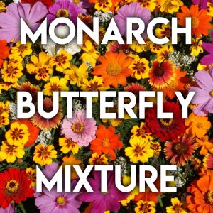 Monarch Butterfly Mix