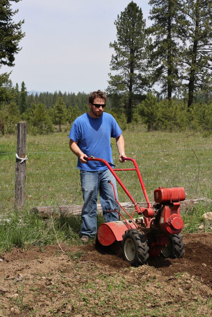 Man rototilling the ground, getting it ready for a garden.