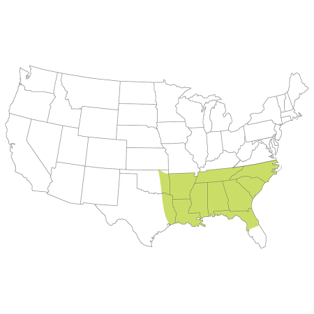 A map of the united states indicating appropriate application area for South Eastern Grass Seed Mix.
