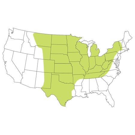 A map of the united states indicating appropriate application area for Tall growth Permanent Native Grass Mix.