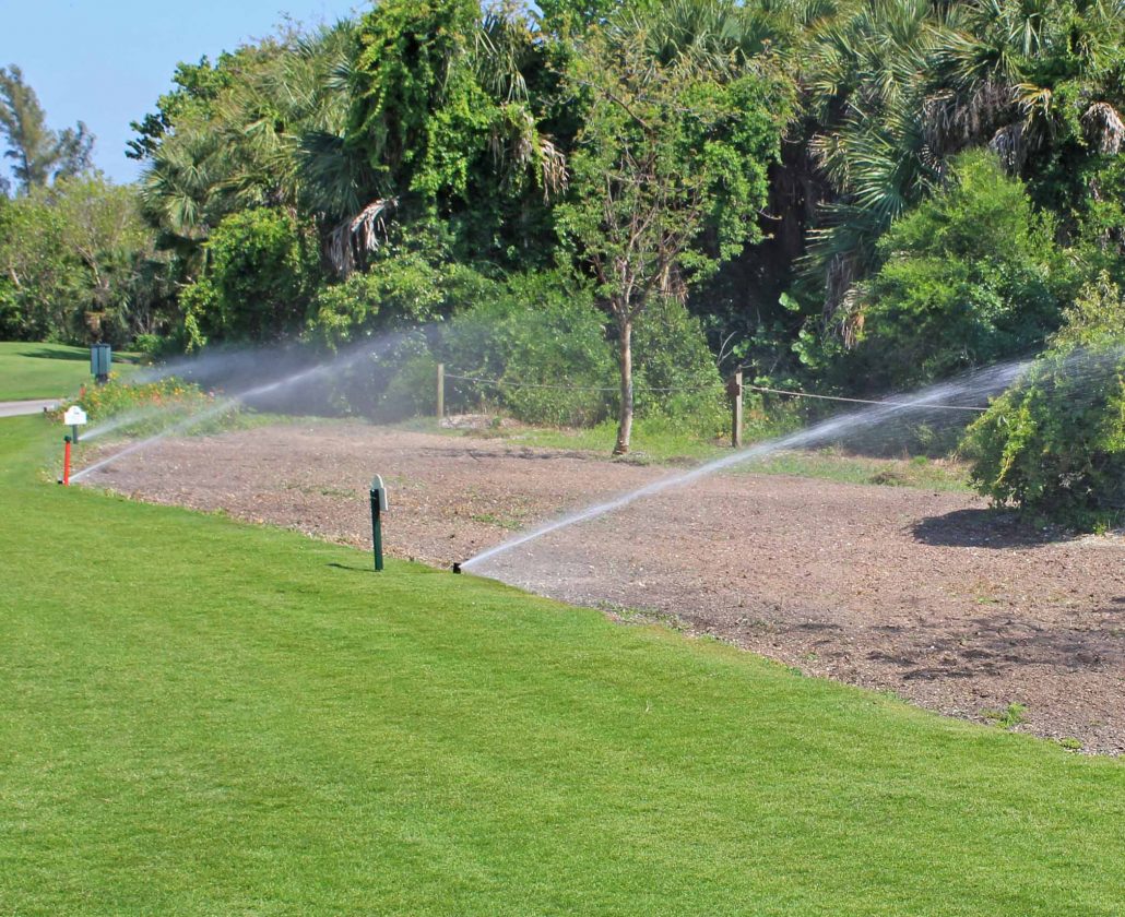 Watering a recently sowed wildflower garden